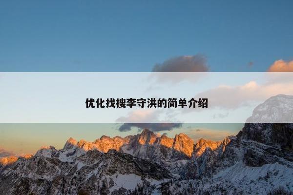 优化找搜李守洪的简单介绍