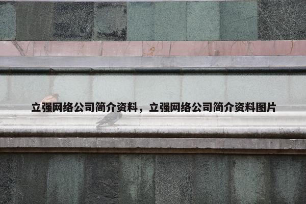 立强网络公司简介资料，立强网络公司简介资料图片