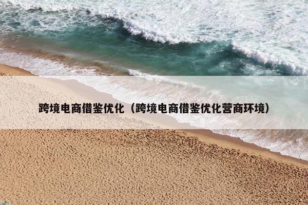 跨境电商借鉴优化（跨境电商借鉴优化营商环境）