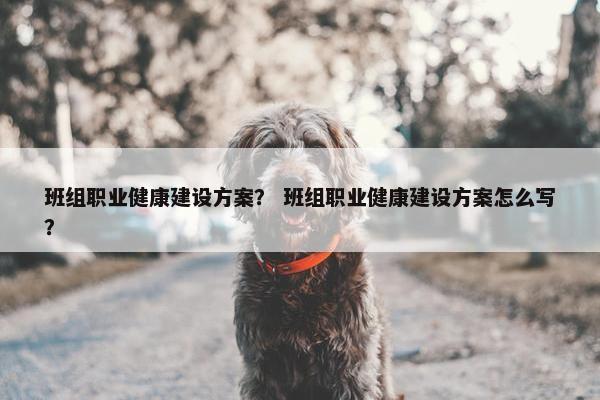 班组职业健康建设方案？ 班组职业健康建设方案怎么写？