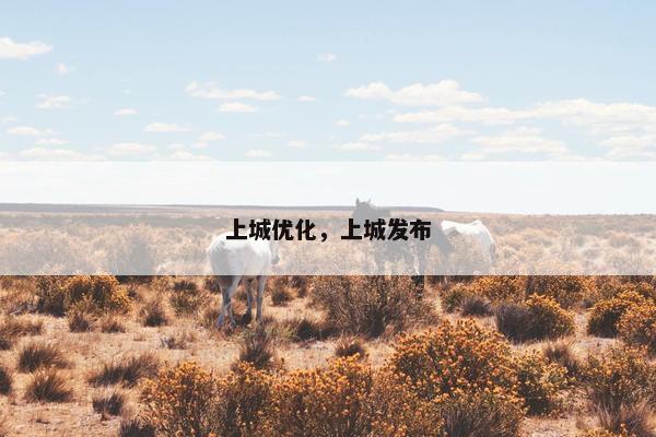 上城优化，上城发布
