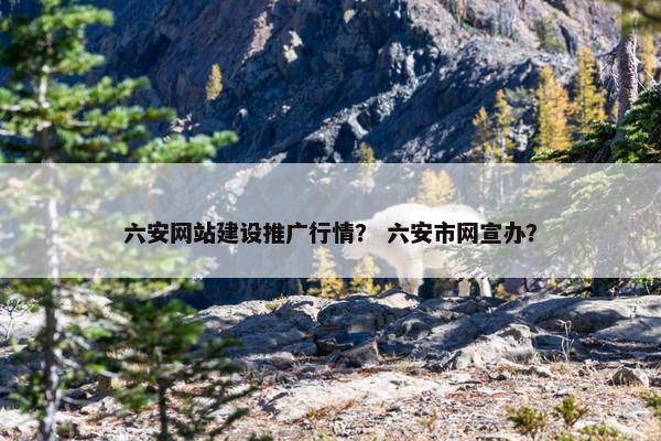 六安网站建设推广行情？ 六安市网宣办？