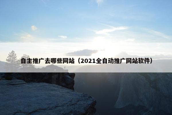 自主推广去哪些网站（2021全自动推广网站软件）