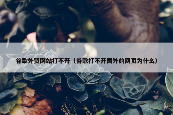 谷歌外贸网站打不开（谷歌打不开国外的网页为什么）
