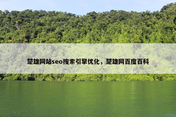 楚雄网站seo搜索引擎优化，楚雄网百度百科
