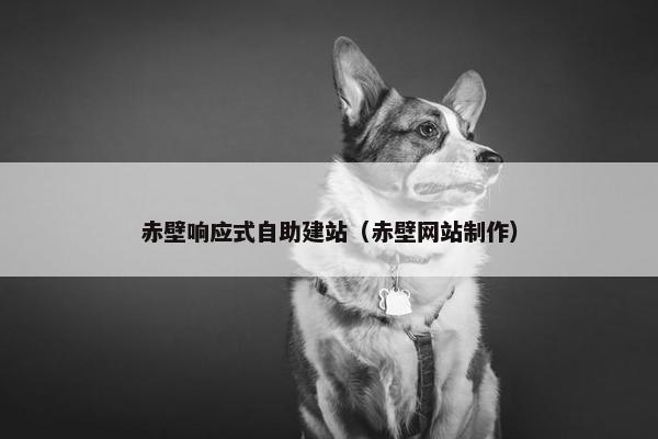 赤壁响应式自助建站（赤壁网站制作）