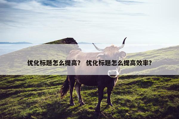 优化标题怎么提高？ 优化标题怎么提高效率？