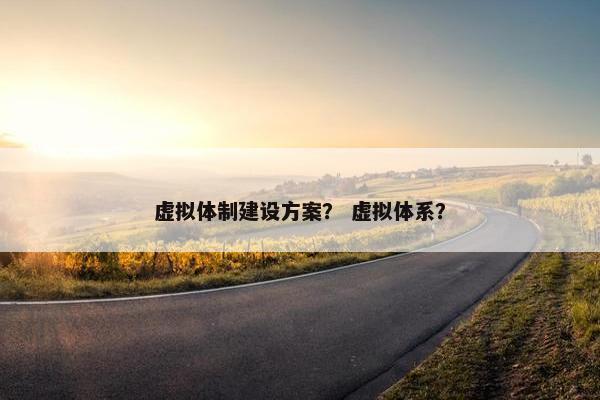 虚拟体制建设方案？ 虚拟体系？