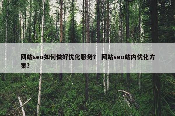 网站seo如何做好优化服务？ 网站seo站内优化方案？