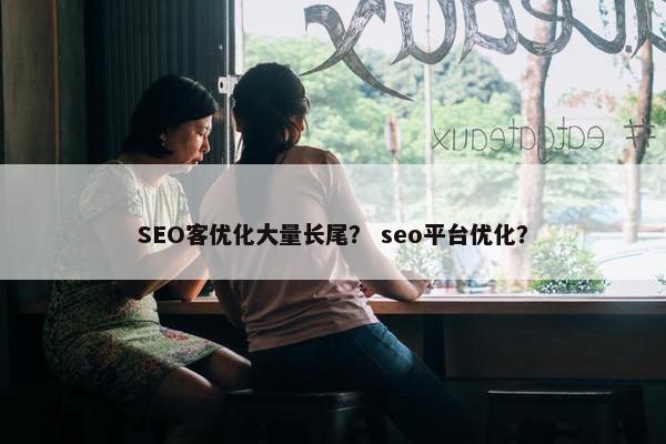 SEO客优化大量长尾？ seo平台优化？