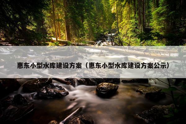 惠东小型水库建设方案（惠东小型水库建设方案公示）