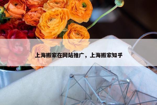 上海搬家在网站推广，上海搬家知乎
