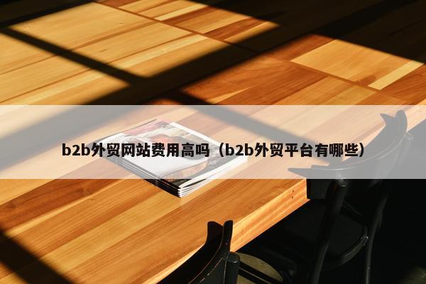 b2b外贸网站费用高吗（b2b外贸平台有哪些）