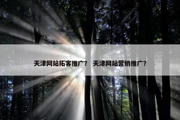 天津网站拓客推广？ 天津网站营销推广？