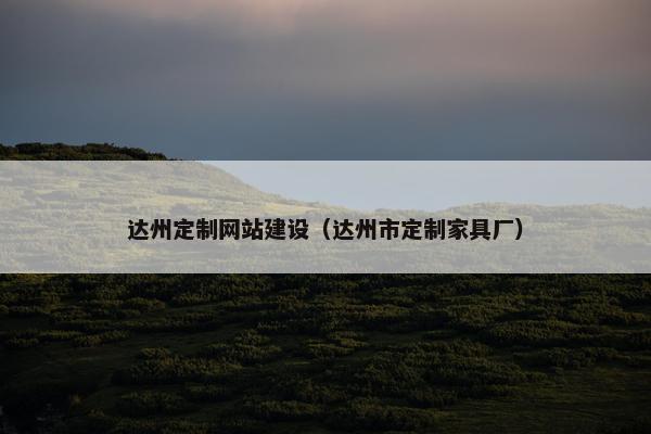 达州定制网站建设（达州市定制家具厂）