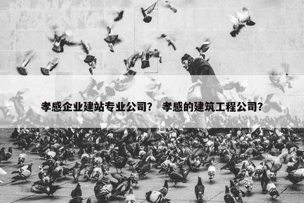 孝感企业建站专业公司？ 孝感的建筑工程公司？
