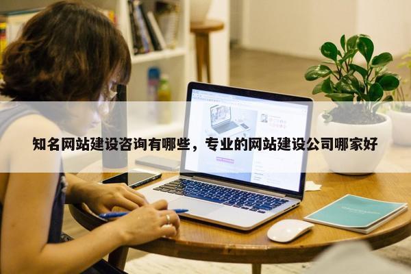 知名网站建设咨询有哪些，专业的网站建设公司哪家好