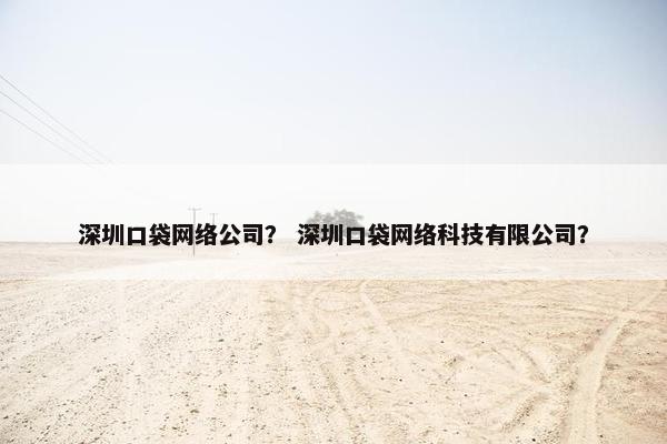 深圳口袋网络公司？ 深圳口袋网络科技有限公司？