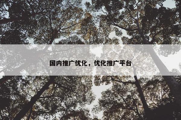 国内推广优化，优化推广平台