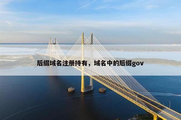 后缀域名注册持有，域名中的后缀gov