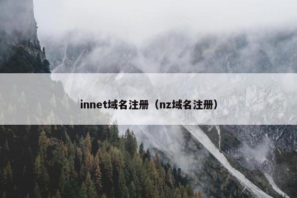 innet域名注册（nz域名注册）