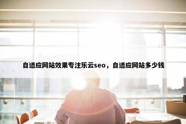 自适应网站效果专注乐云seo，自适应网站多少钱