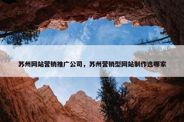 苏州网站营销推广公司，苏州营销型网站制作选哪家