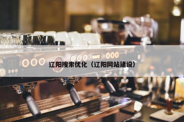 辽阳搜索优化（辽阳网站建设）