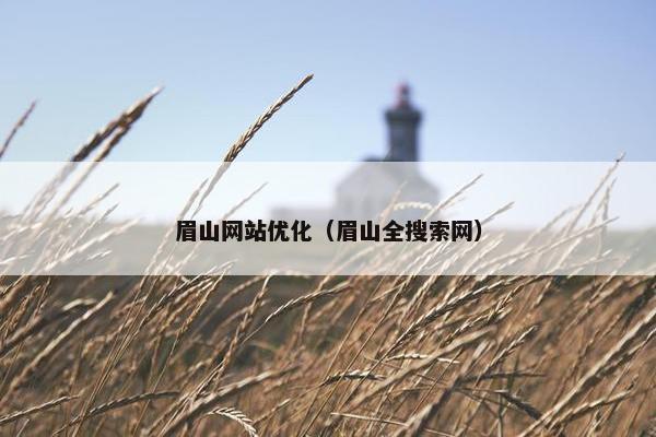 眉山网站优化（眉山全搜索网）