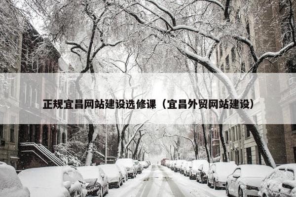 正规宜昌网站建设选修课（宜昌外贸网站建设）