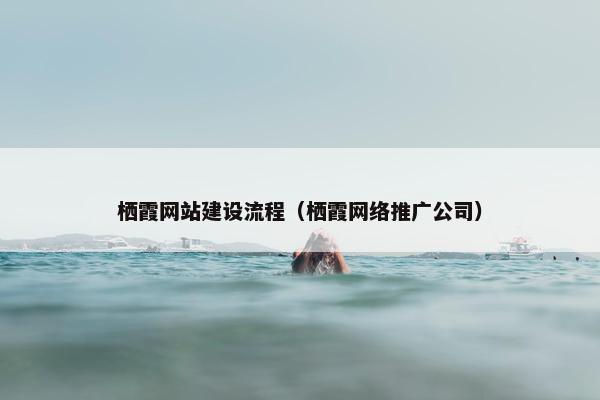 栖霞网站建设流程（栖霞网络推广公司）