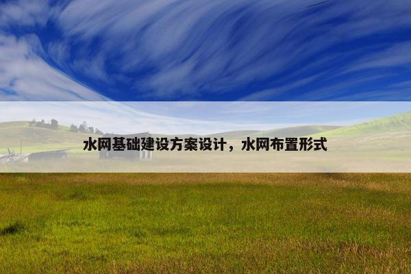 水网基础建设方案设计，水网布置形式