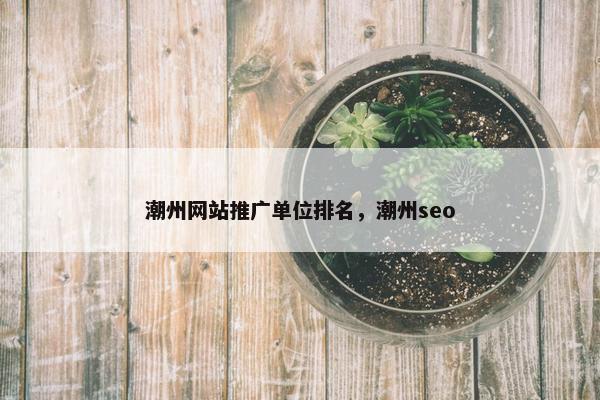 潮州网站推广单位排名，潮州seo