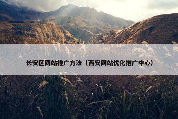 长安区网站推广方法（西安网站优化推广中心）