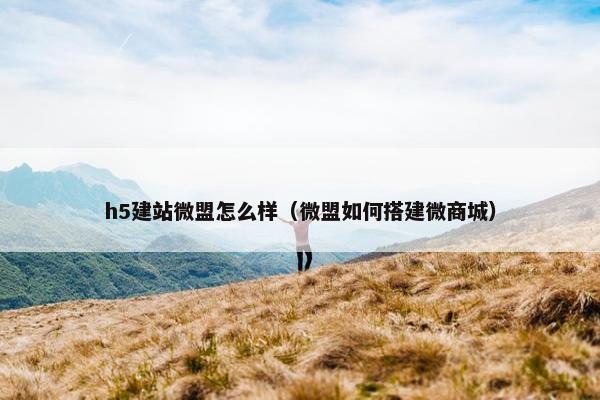 h5建站微盟怎么样（微盟如何搭建微商城）
