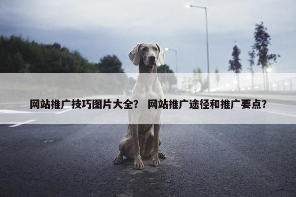 网站推广技巧图片大全？ 网站推广途径和推广要点？