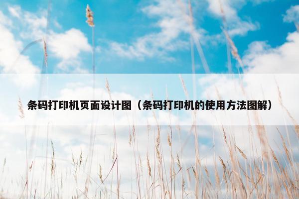 条码打印机页面设计图（条码打印机的使用方法图解）