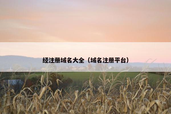 经注册域名大全（域名注册平台）