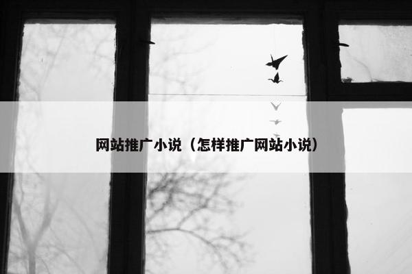 网站推广小说(怎样推广网站小说)