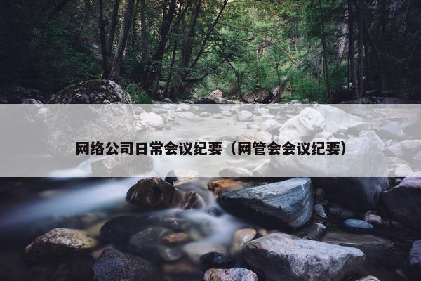 网络公司日常会议纪要(网管会会议纪要)