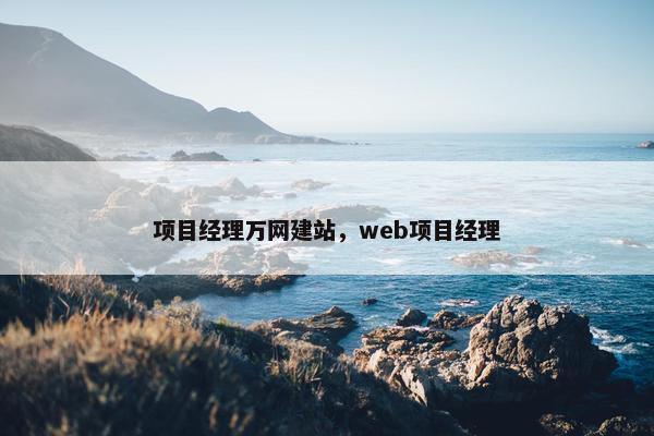 项目经理万网建站,web项目经理