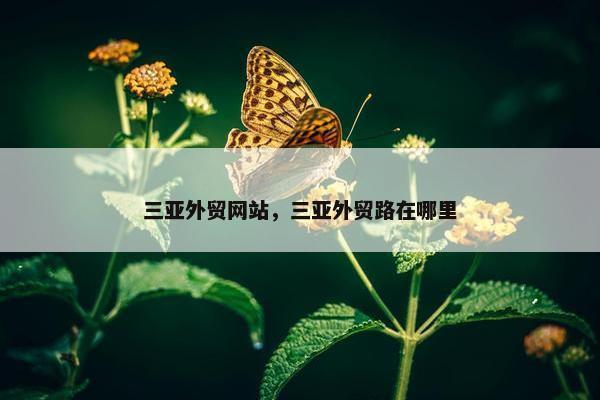 三亚外贸网站,三亚外贸路在哪里