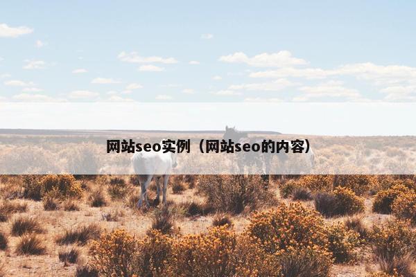 网站seo实例(网站seo的内容)