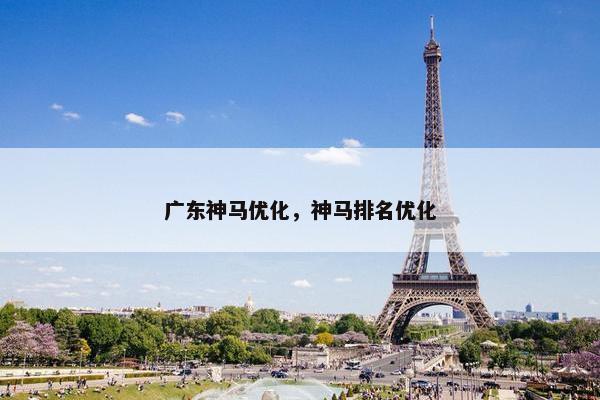 广东神马优化，神马排名优化