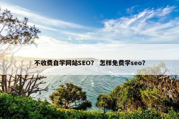 不收费自学网站SEO? 怎样免费学seo?