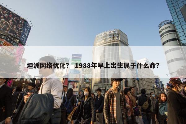 坦洲网络优化? 1988年早上出生属于什么命?
