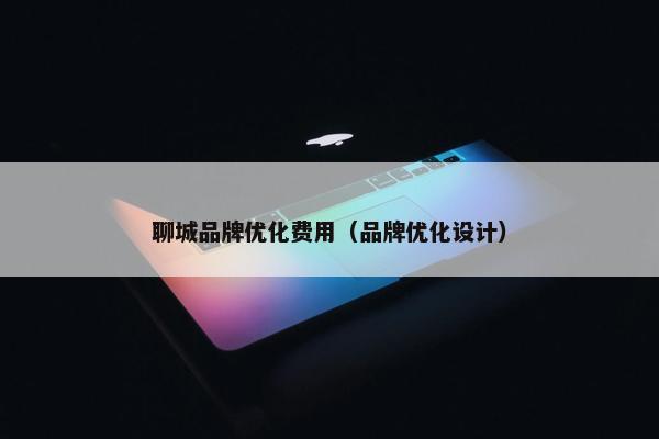 聊城品牌优化费用(品牌优化设计)