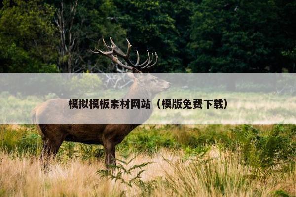 模拟模板素材网站(模版免费下载)