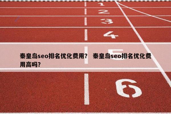 秦皇岛seo排名优化费用? 秦皇岛seo排名优化费用高吗?