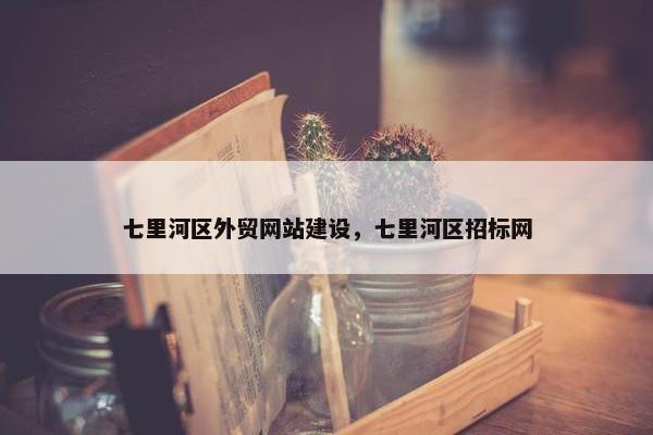 七里河区外贸网站建设,七里河区招标网